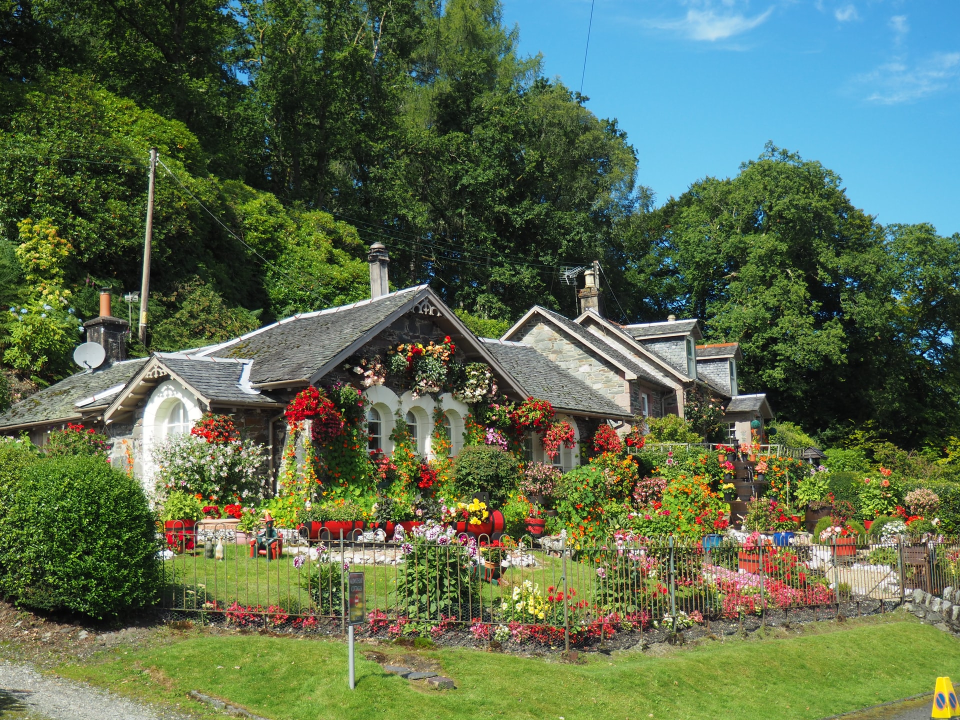 house-garden